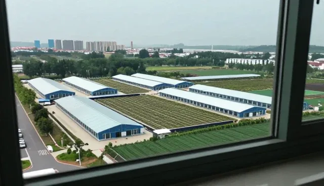 技术咨询相关知识全面介绍